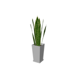 beauty_houseplants002