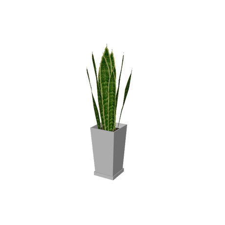 beauty_houseplants002