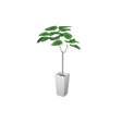 cafe_p-houseplants004
