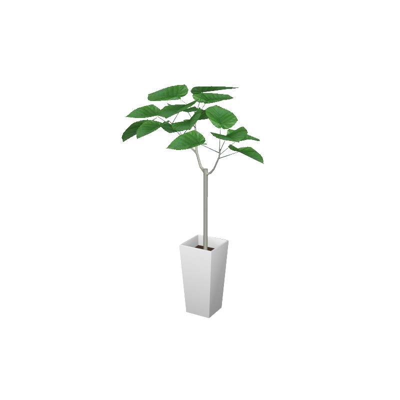 cafe_p-houseplants004