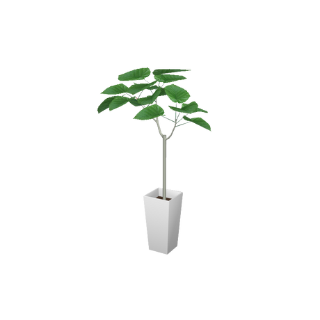 cafe_p-houseplants004