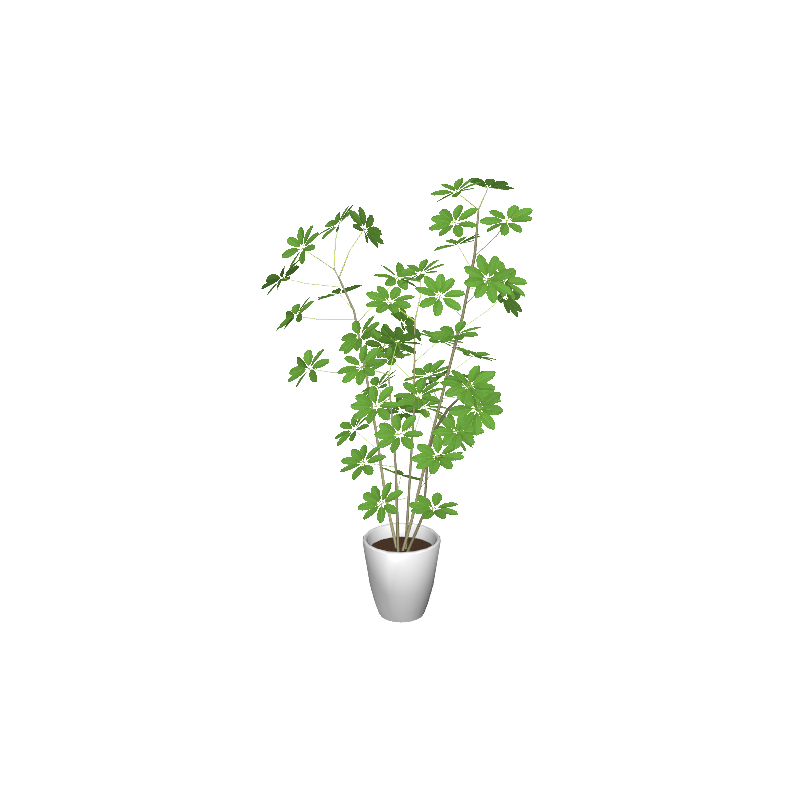 cafe_p-houseplants005