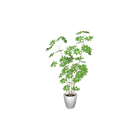 cafe_p-houseplants005