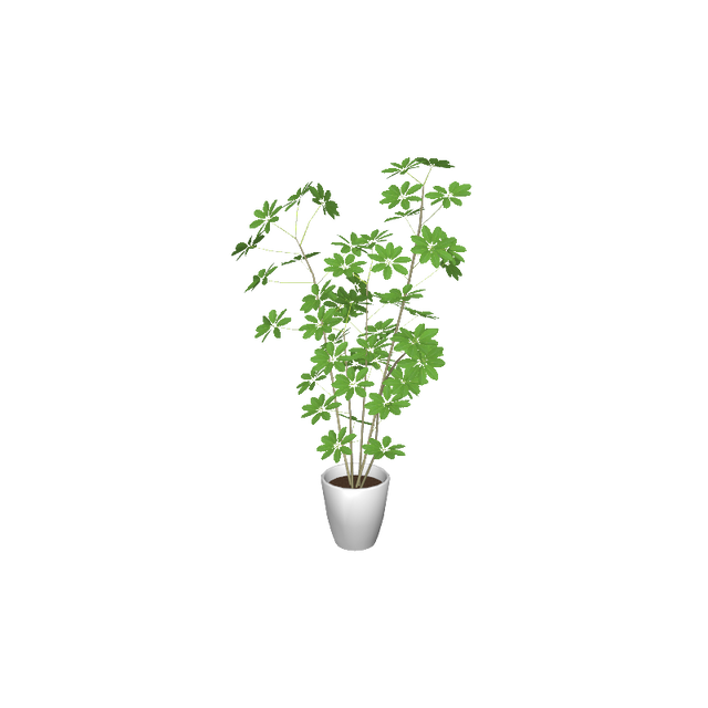 cafe_p-houseplants005