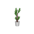 cafe_p-houseplants006