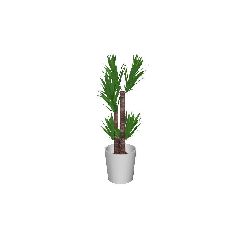 cafe_p-houseplants006