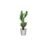 cafe_p-houseplants006