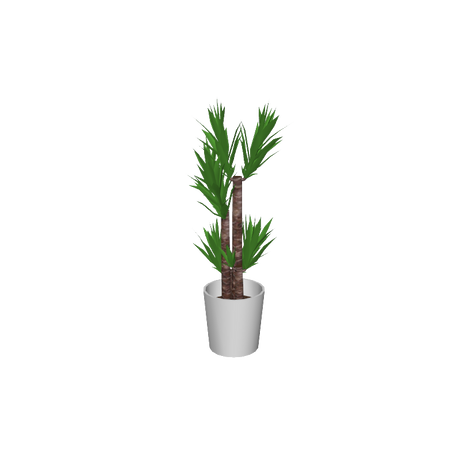 cafe_p-houseplants006