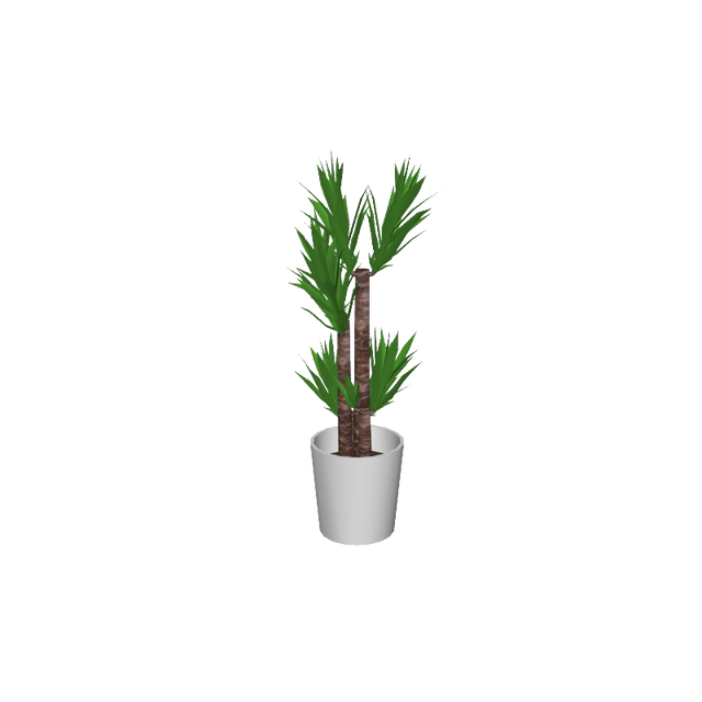 cafe_p-houseplants006