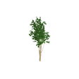 tree02