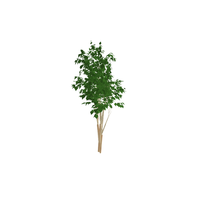tree02