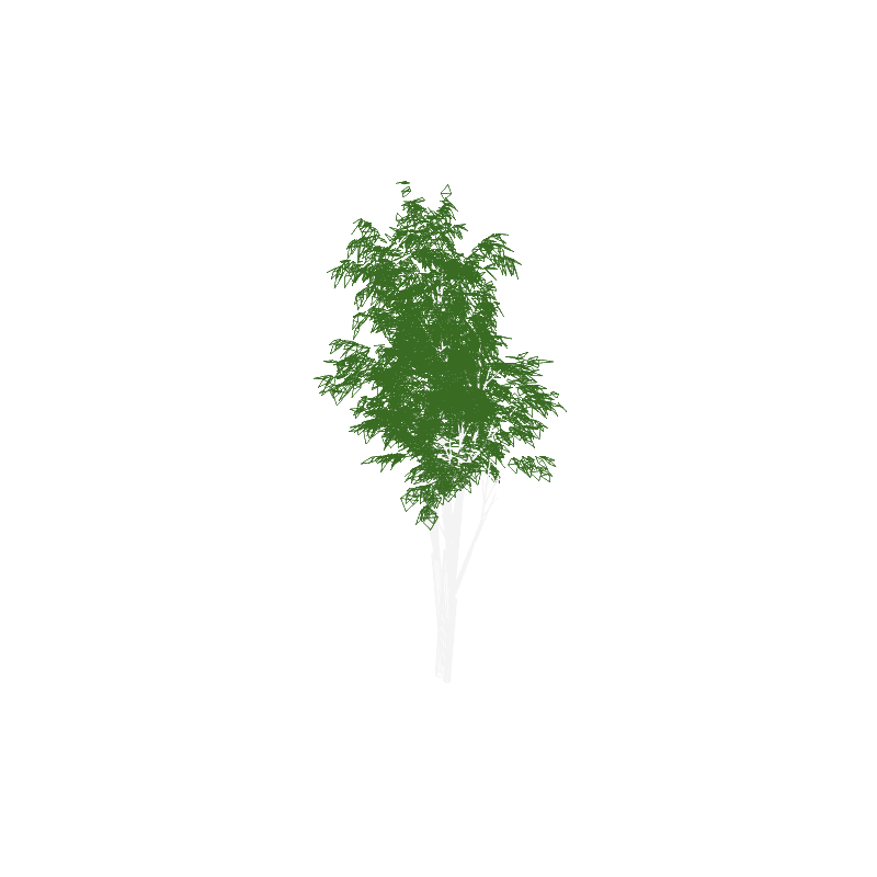 tree02