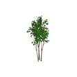tree03