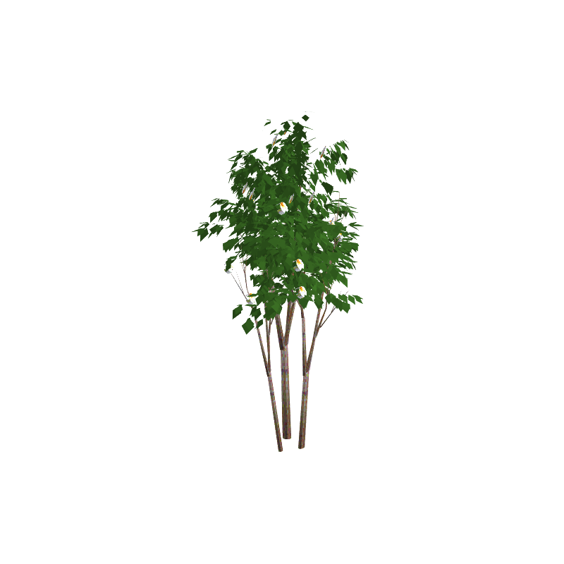 tree03
