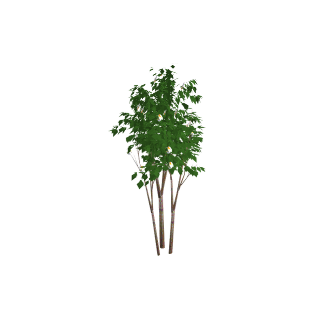 tree03