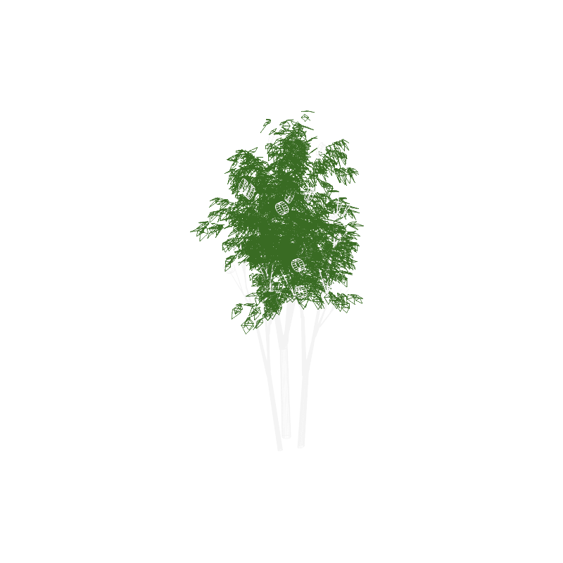 tree03