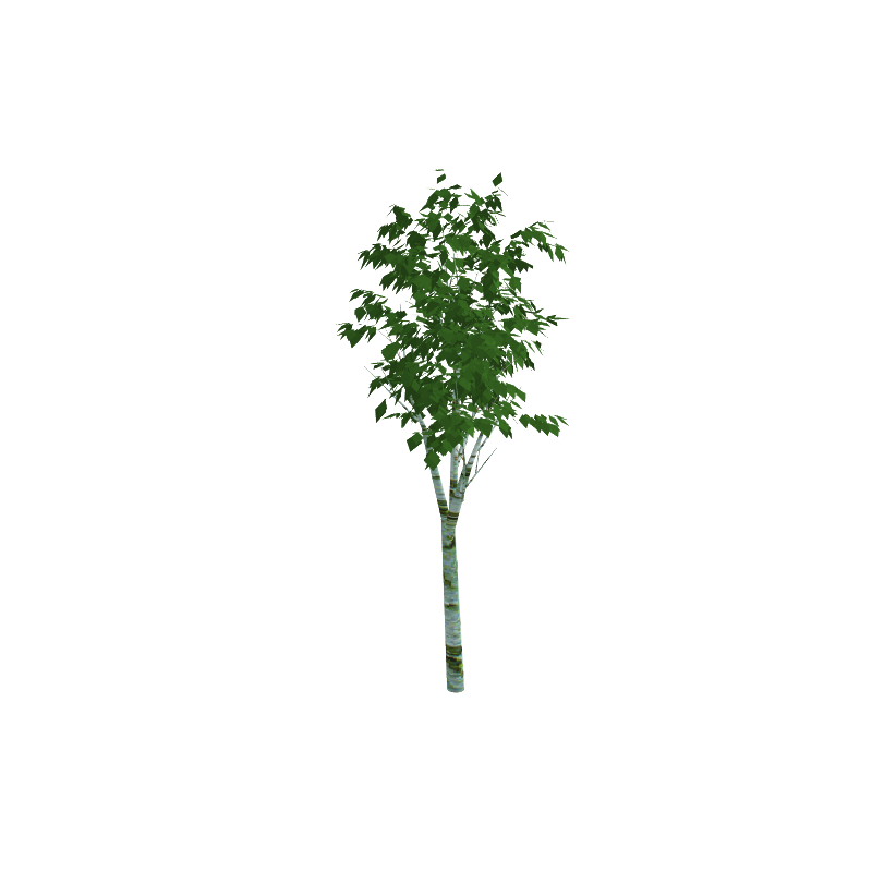 tree04