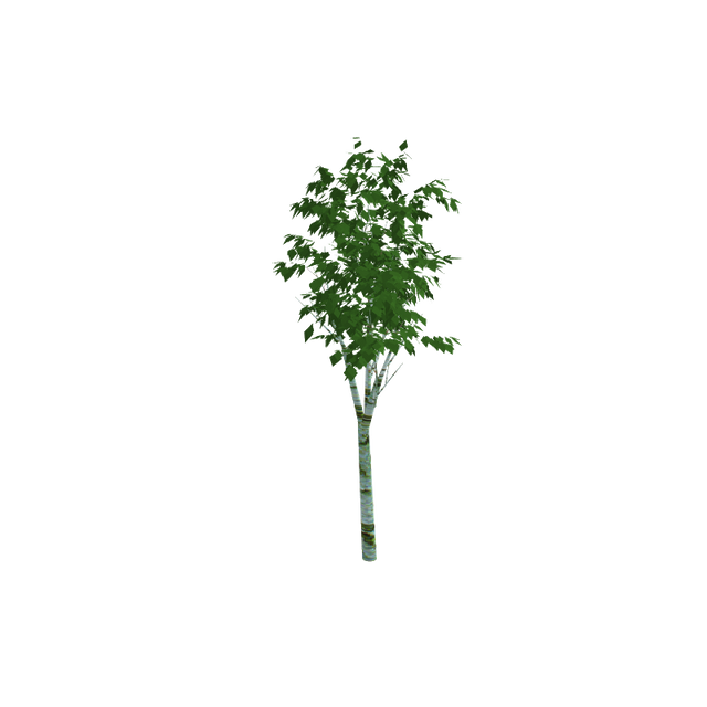 tree04