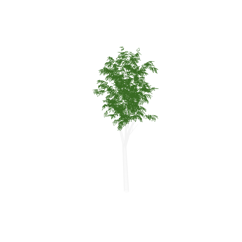 tree04