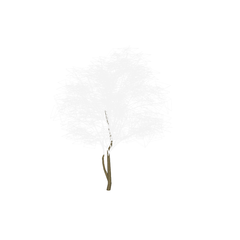 treeae04