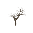 treeh01