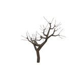 treeh01