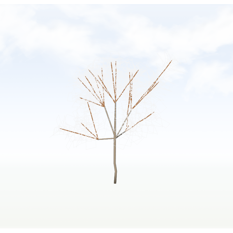 treeo001