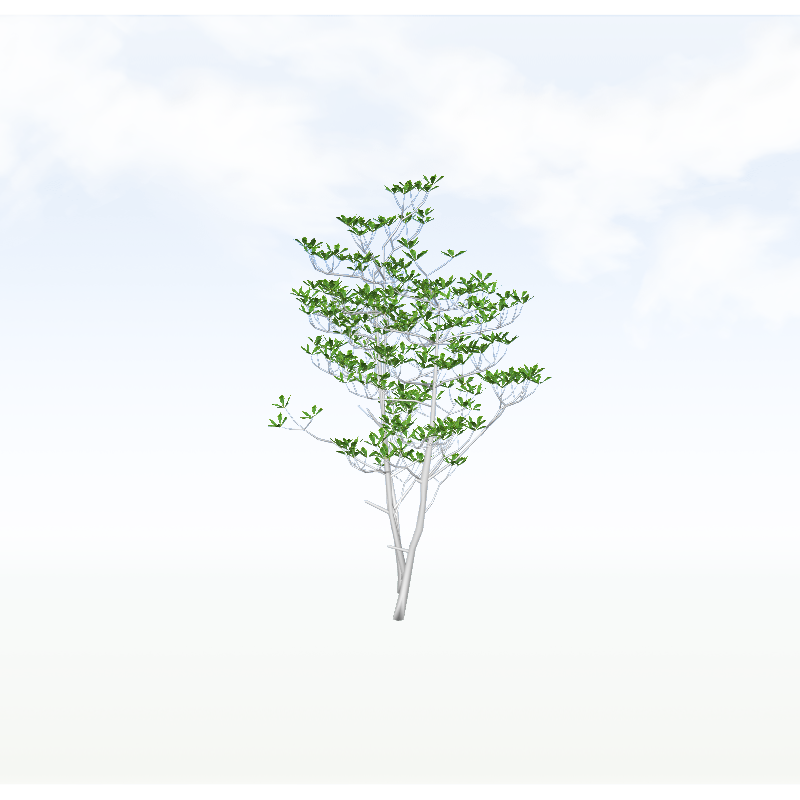 treeo003