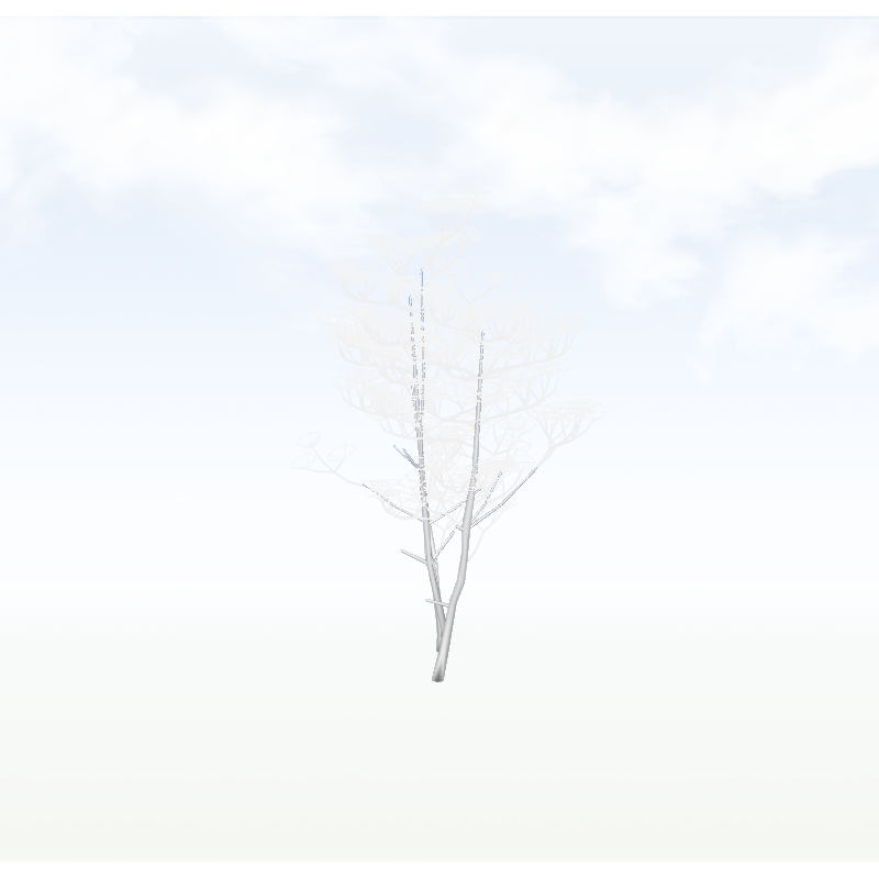 treeo003