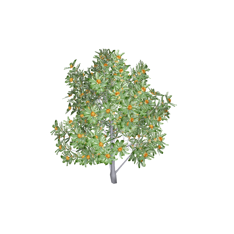treeo015