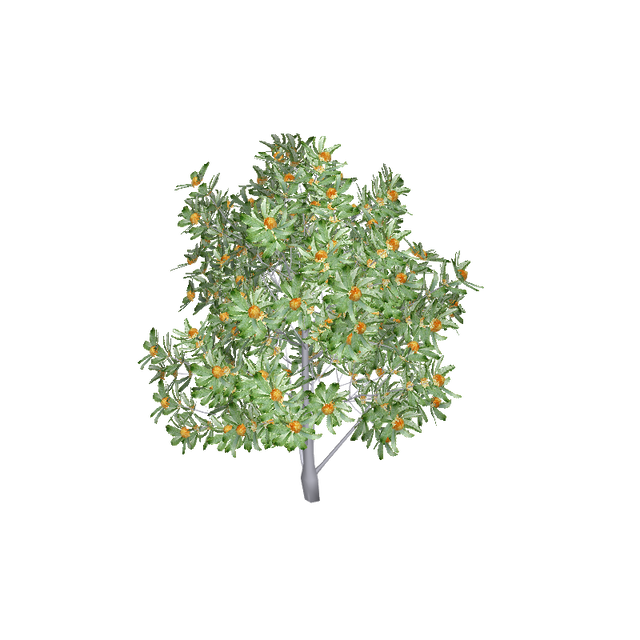 treeo015