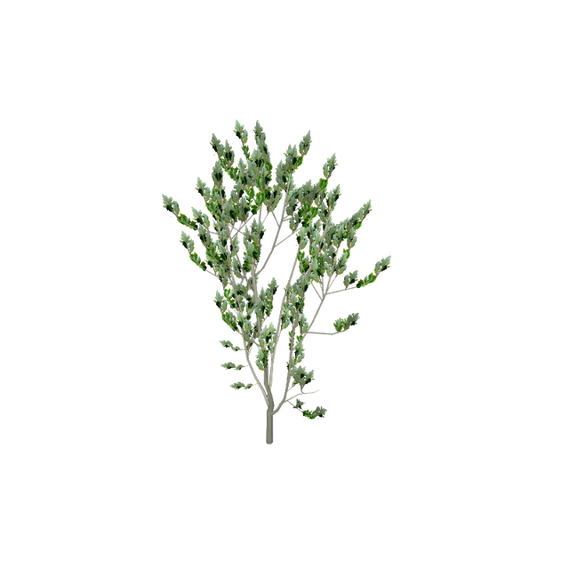 treeo019