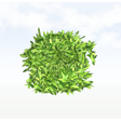 treeq001