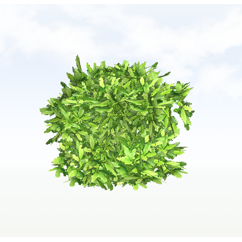treeq001