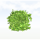 treeq001