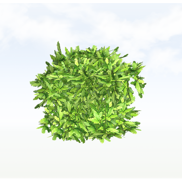 treeq001