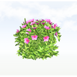 treeq002