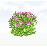 treeq002