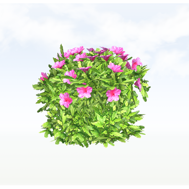 treeq002