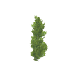 treeq003