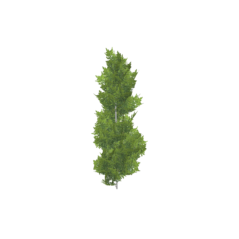 treeq003