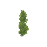 treeq003