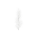 treeq003