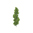 treeq004