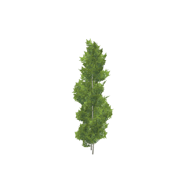 treeq004