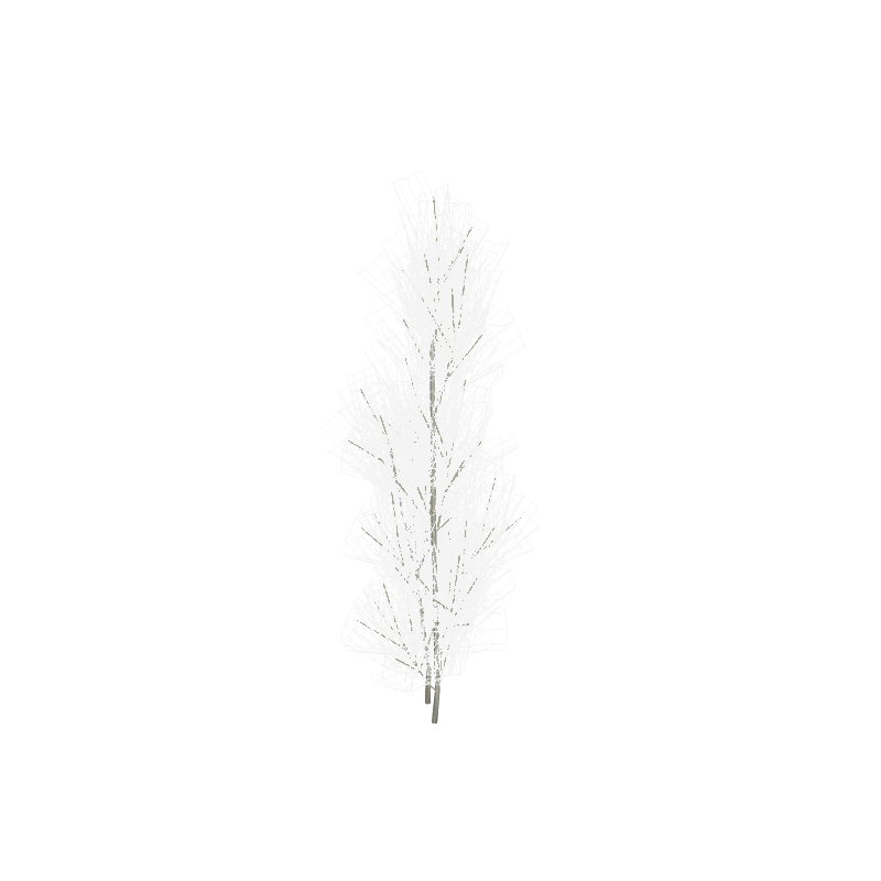 treeq004