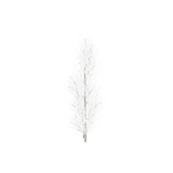 treeq004