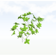 treeq006