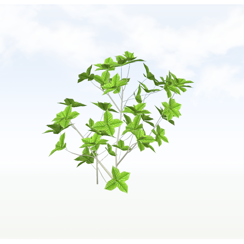 treeq006