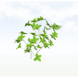 treeq006